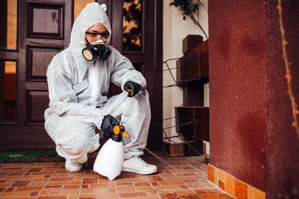 Reliable Wasp Removal contractor in Peridot, AZ by Show Me Pest Control